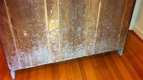 metal box outdoors mildew|white mold on outdoor furniture.